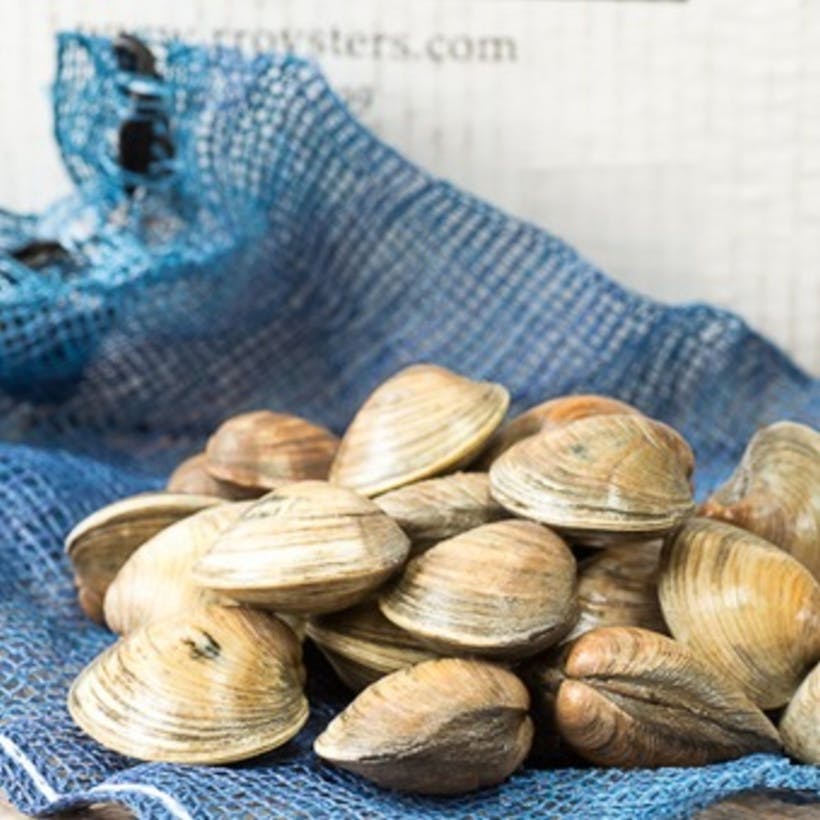 Rappahannock River Olde Salt Middleneck Clams - 25 count
