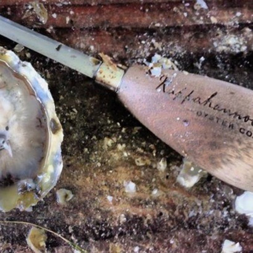 Rappahannock River Oysters - Chesapeake Oyster Knife