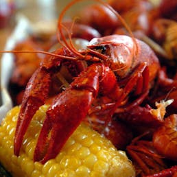 15lb Boiled Cajun Crawfish Pack