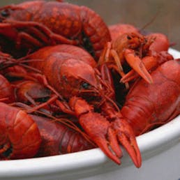 15lb Boiled Cajun Crawfish Pack