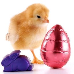 Easter Egg Nest