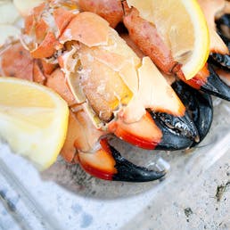 Large Stone Crab Claws