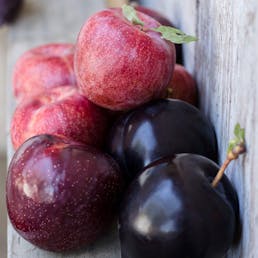Organic Pluots