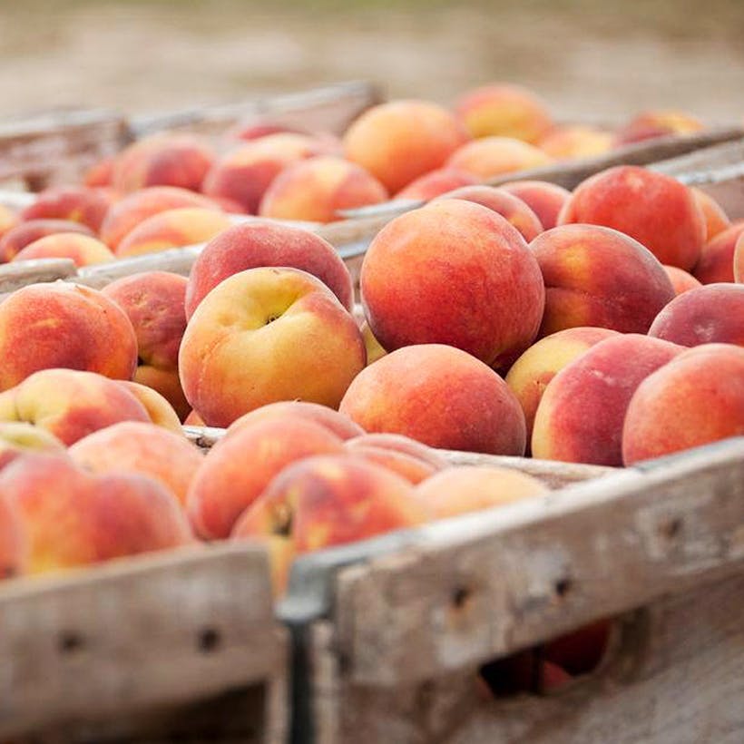 The Peach Truck Gift Box - 2 Boxes