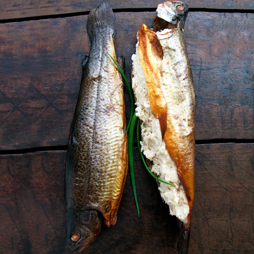 Two Brook Trout
