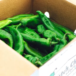 Fresh Hatch Green Chiles - Lumbre (X-Hot)