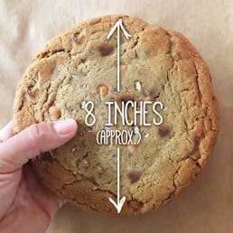 GIANT Signature Cookies - 10 Pack