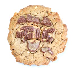 Choose Your Own Cookie Dozen
