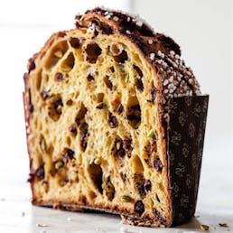Chocolate Panettone