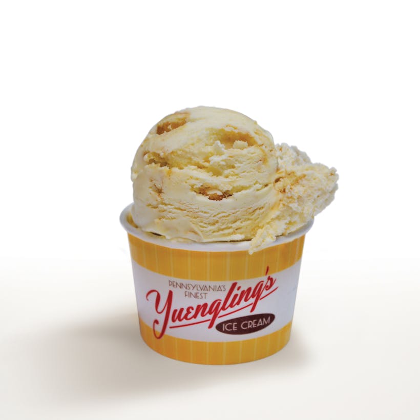 Cinnamon Churro Ice Cream - 6 Pints