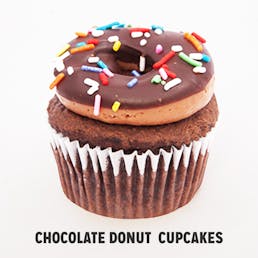 Food Explorer Cupcake Box