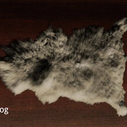 Sheepskin Rug