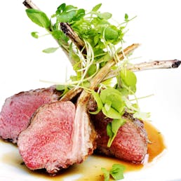 Frenched Rack of Lamb