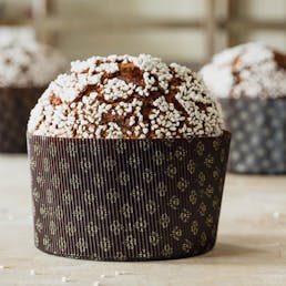 Chocolate Panettone