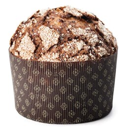 Chocolate Panettone