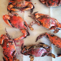 Obrycki’s Maryland Steamed Crab Kit