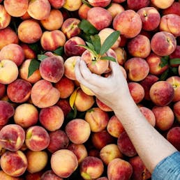 The Peach Truck Gift Box - 2 Boxes