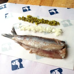 Holland Herring