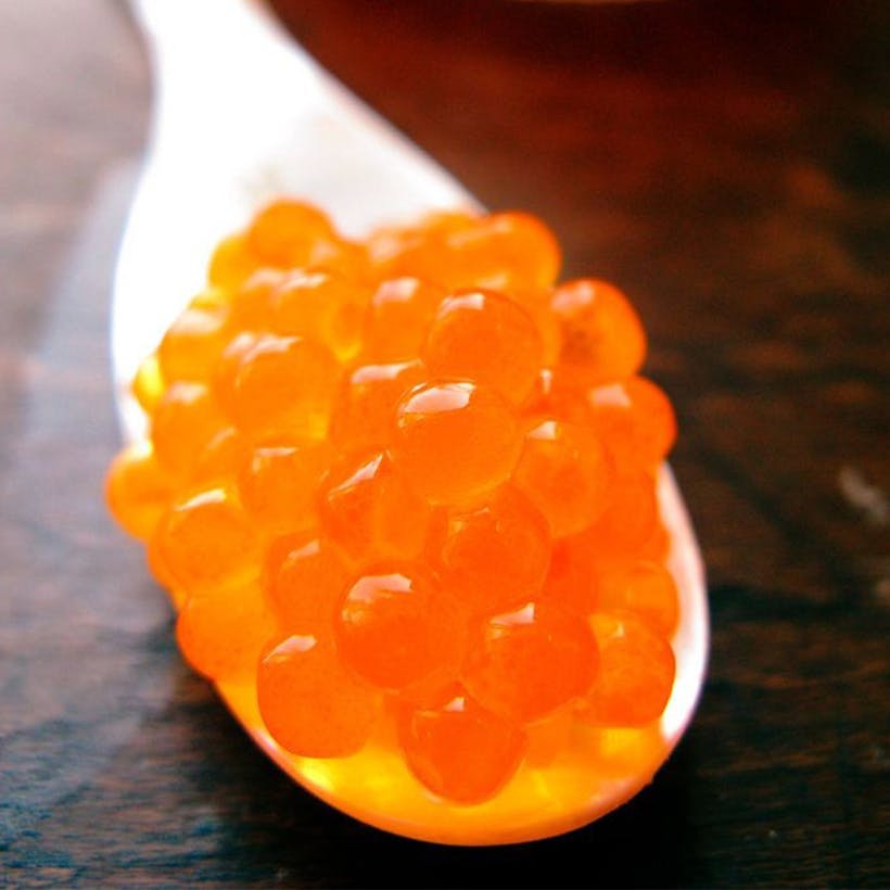 Trout Roe