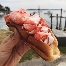 Maine Lobster Roll Kit