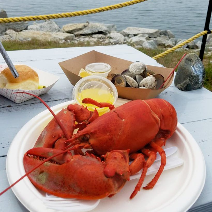 1.25 lb. Lobster