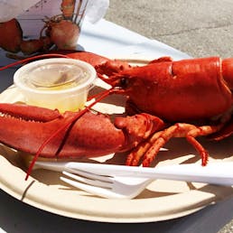 2 lb. Lobster