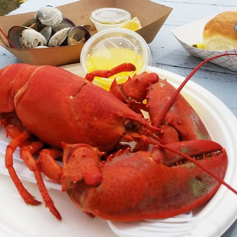 2 lb. Lobster