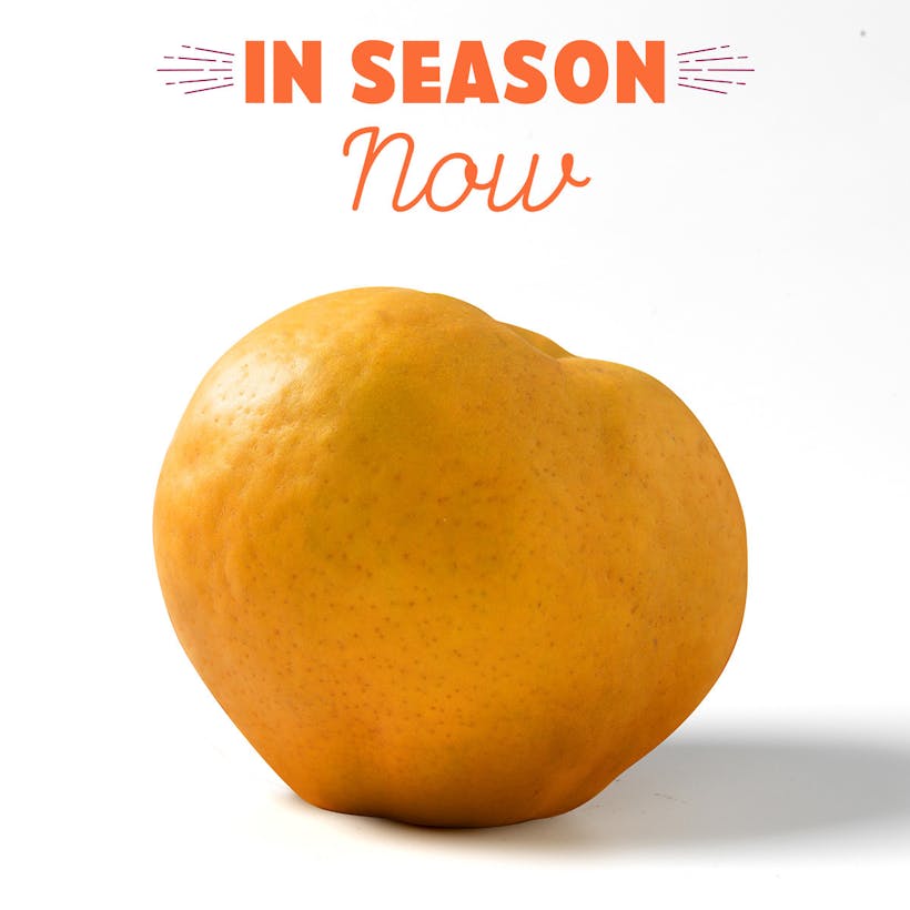 Atago Asian Pears
