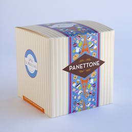 Candied Orange Raisin Panettone