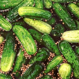 Choose Your Own Specialty Pickles - 4 Quarts