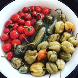 Choose Your Own Specialty Pickles - 4 Quarts