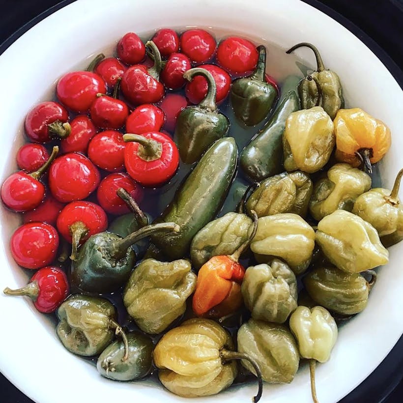 Choose Your Own Peppers - 4 Quarts