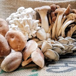 Mushroom Medley - 1 lb.