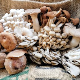 Mushroom Medley - 1 lb.