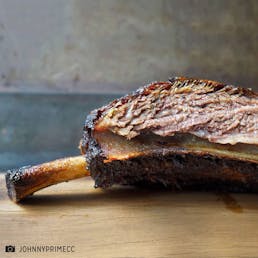GIANT Brontosaurus Ribs