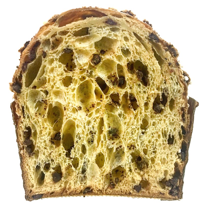 Hazelnut Chocolate Panettone