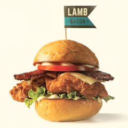 Lamb Bacon