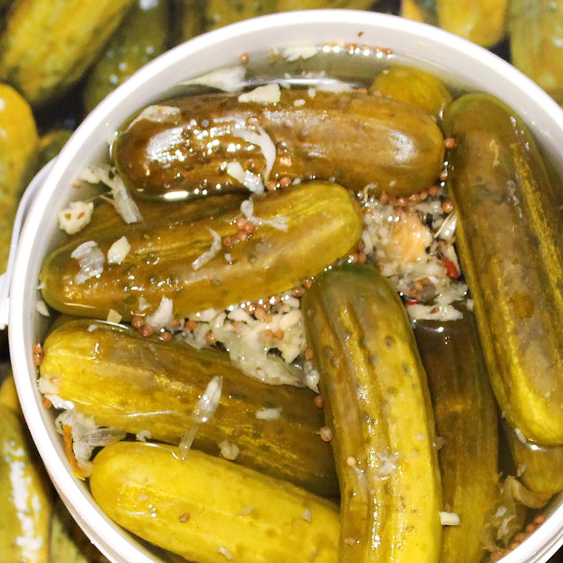 NY Fresh Kosher Dill Pickles - 1 gallon