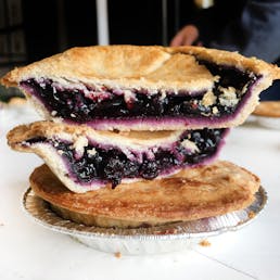 Frisbie Mini Pie Assorted - 12 Pack