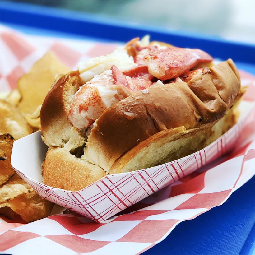 Beal's Famous Lobster Roll Kit - 4 Rolls
