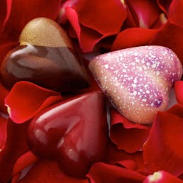 For the Love of Chocolate
