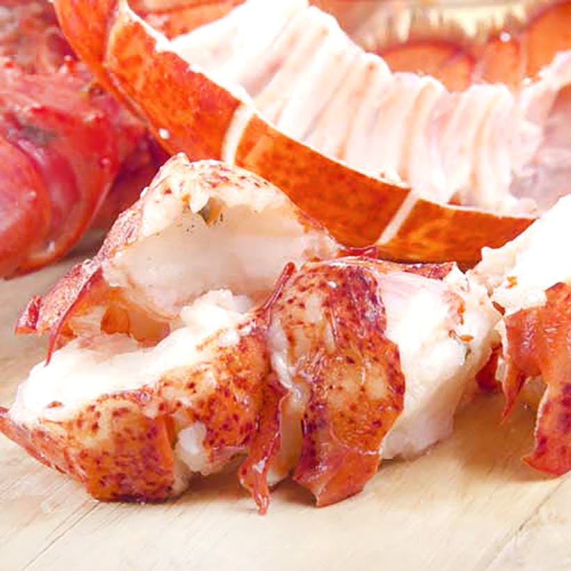 Fresh Lobster Meat Pack