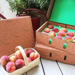 Georgia Peaches Gift Box - 13 Pack