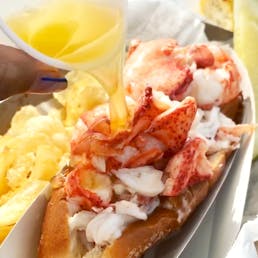Mcloons Lobster Roll Kit + Cape Whoopies