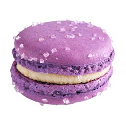 Summer Macarons