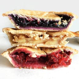Blueberry Frisbie Mini Pie - 12 Pack