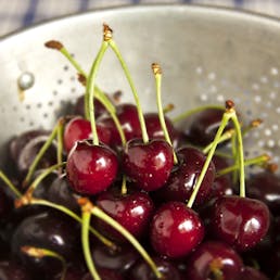 Sour Michigan "Balaton" Cherries - 6 lbs