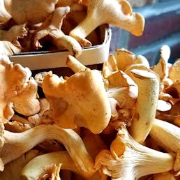 Chanterelle Mushrooms - 1/2 lb.