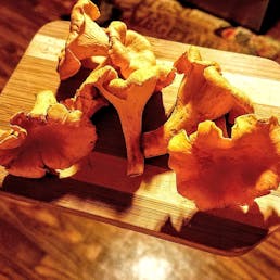 Chanterelle Mushrooms - 1/2 lb.
