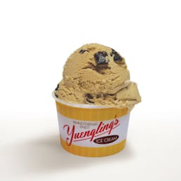 Yuengling's Ice Cream Signature - 4 Quarts